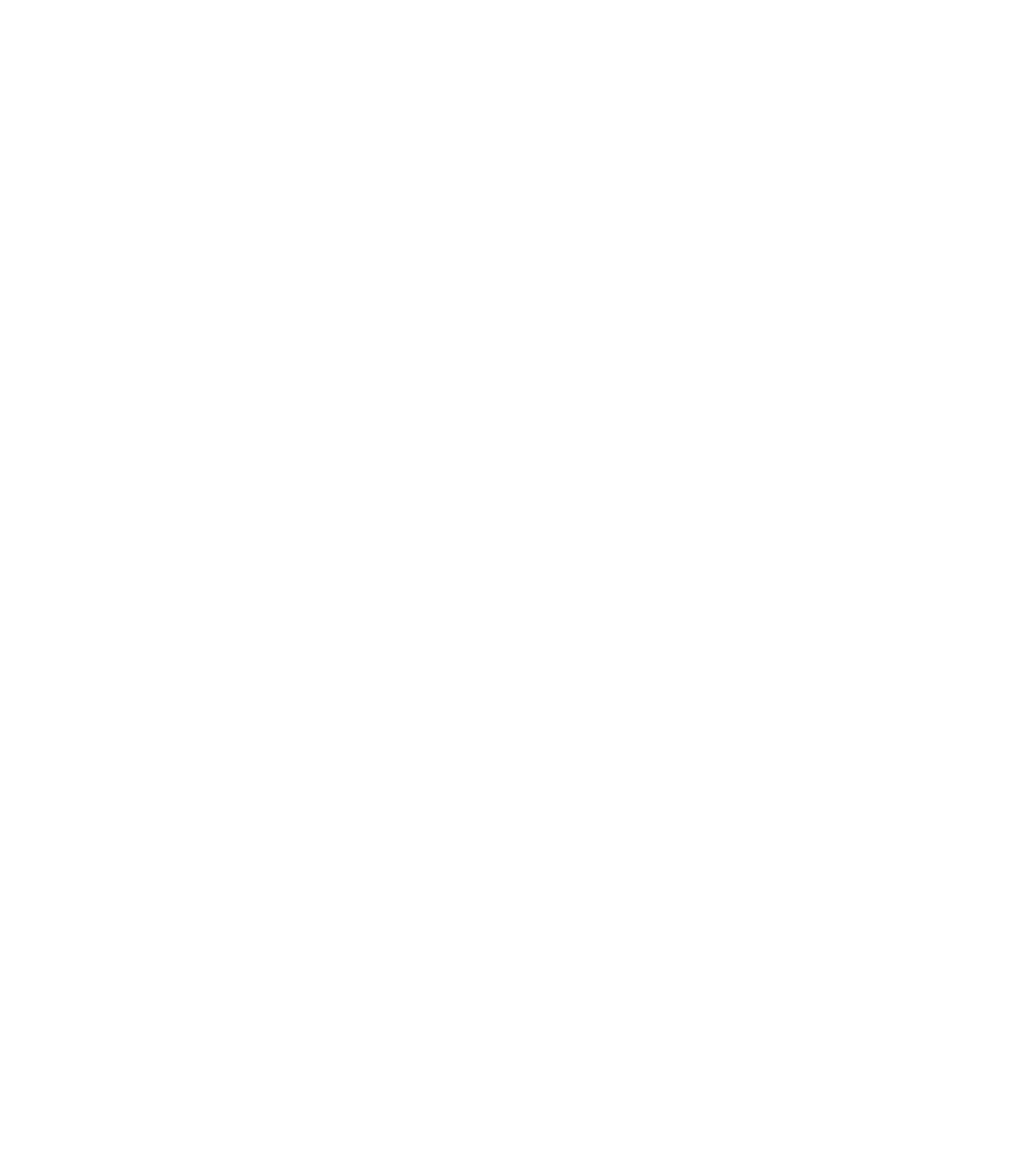 Logo Lency copy